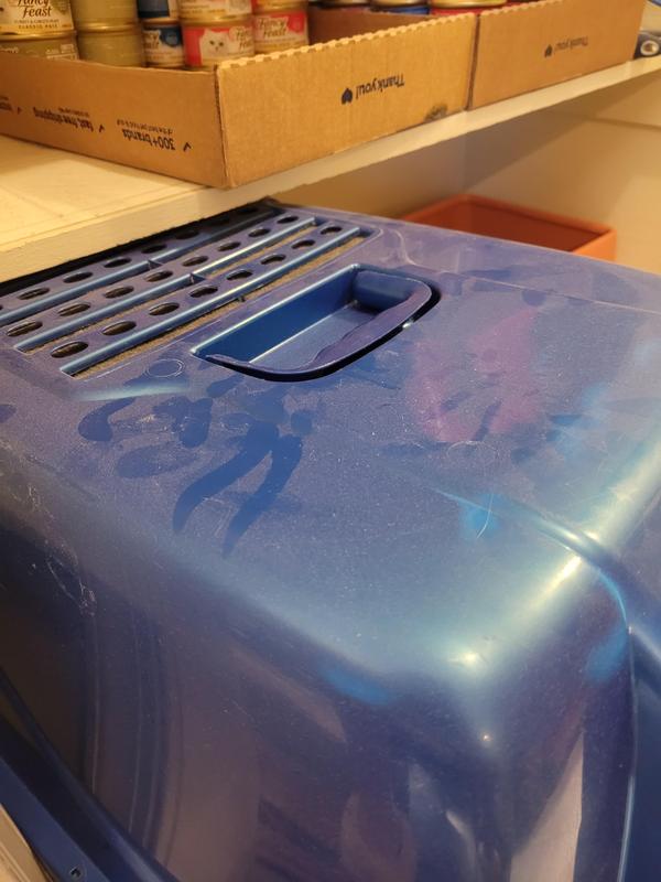 Cat litter pan covered with clay litter dust
