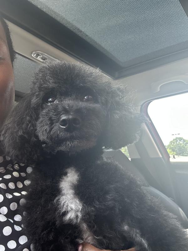 “I didn’t get shaved today!”