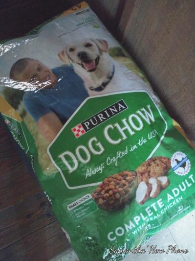 Dog chow sale review