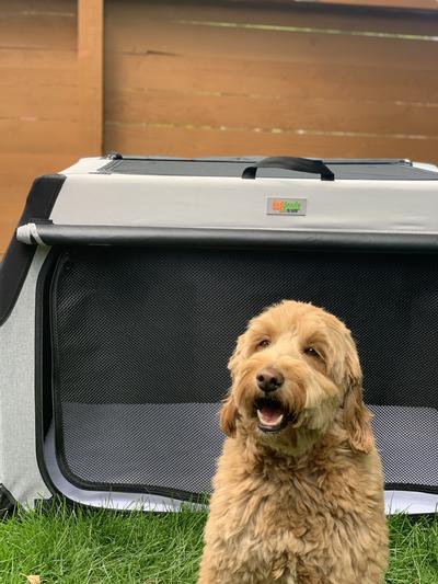 DogGoods Do Good Folding Dog Crate