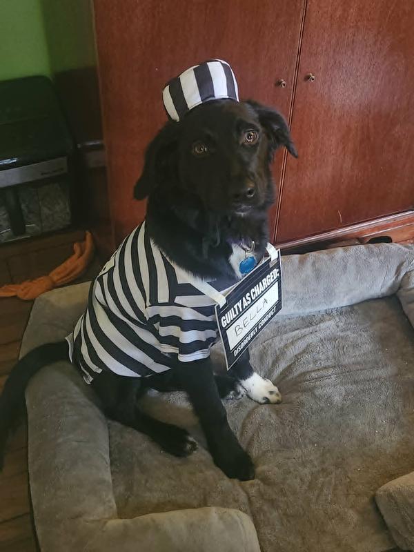 Wearing this doesn't seem like punishment to me!  I make this look GOOD!!