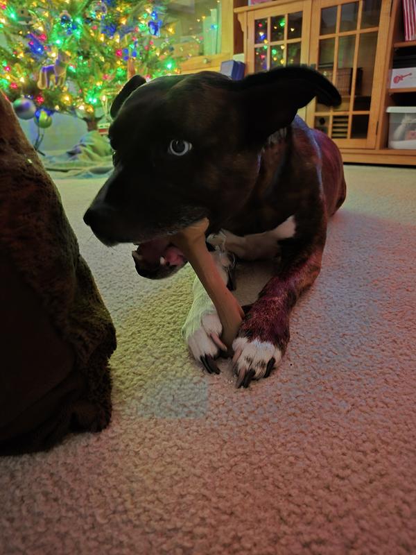 She was all about this bone.