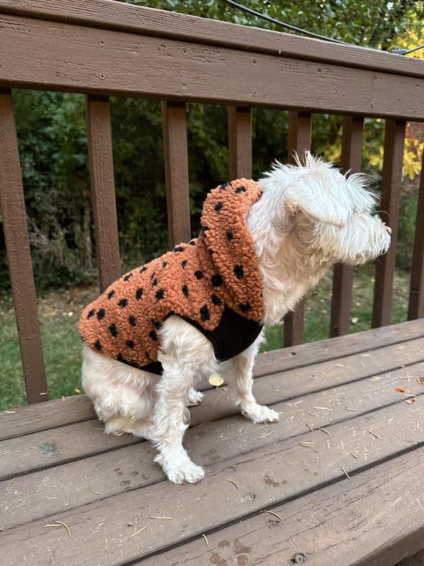 She likes the cool weather when she has a warm outfit on.