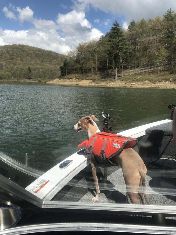 Romeo going boating!
