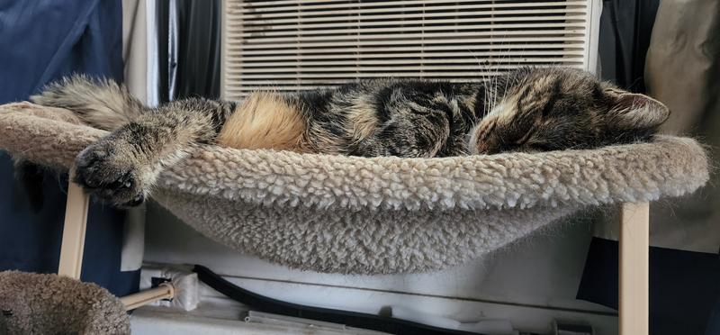 Old stretched-out fleece