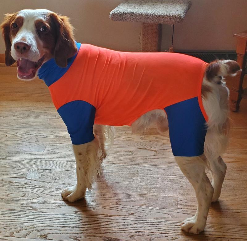 Frisco UPF 30+ Colorblock Dog & Cat Playsuit