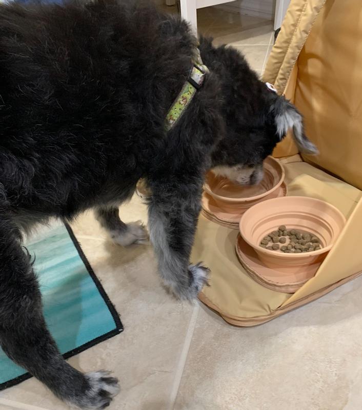 Dog Approved!