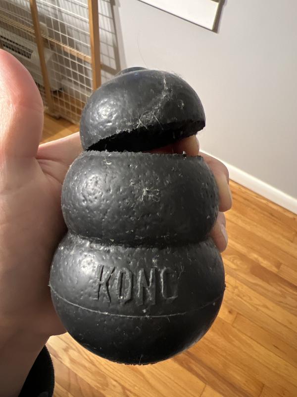 KONG Extreme Dog Toy, Large 