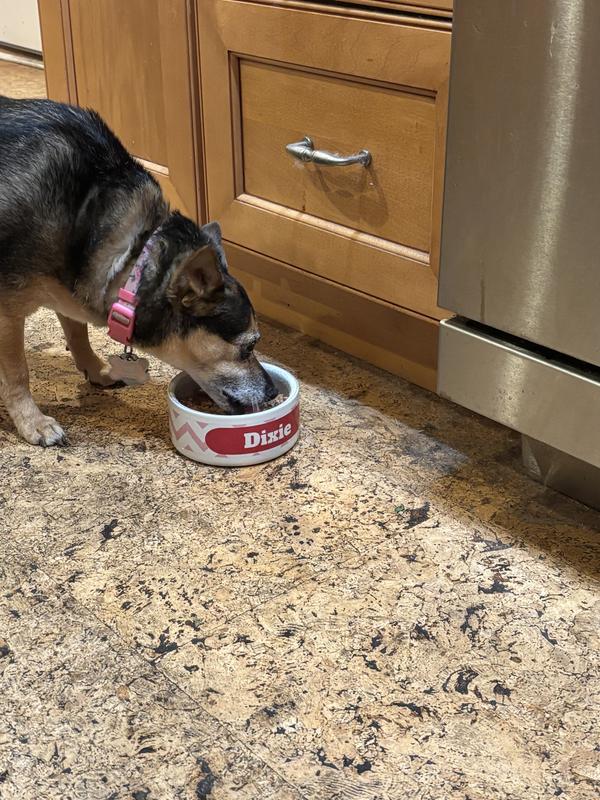 Dixie loving her new food