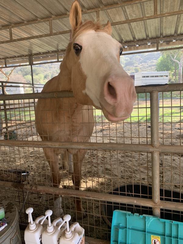 Jimmy wants another one.