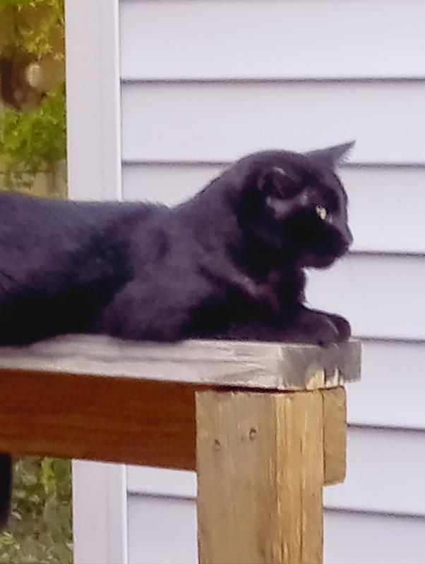 I'm very afraid of humans. With good reason......