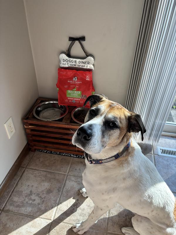 Very interested in smelling the bag!