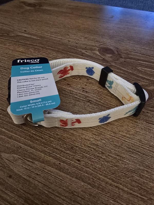 Frisco Dog Collar