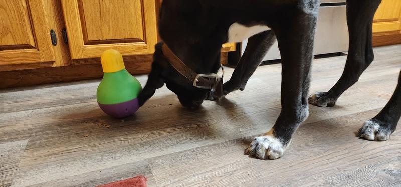 The Dog Geek: Puzzle Toy: Starmark Bob-a-Lot