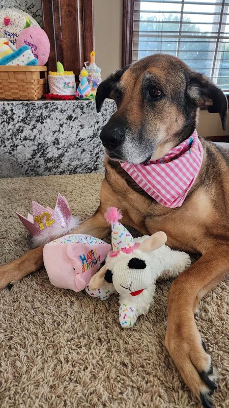 Lily loves Lamby