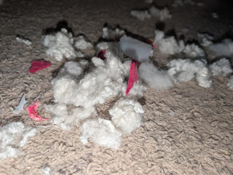 The extreme seams didn't last an hour