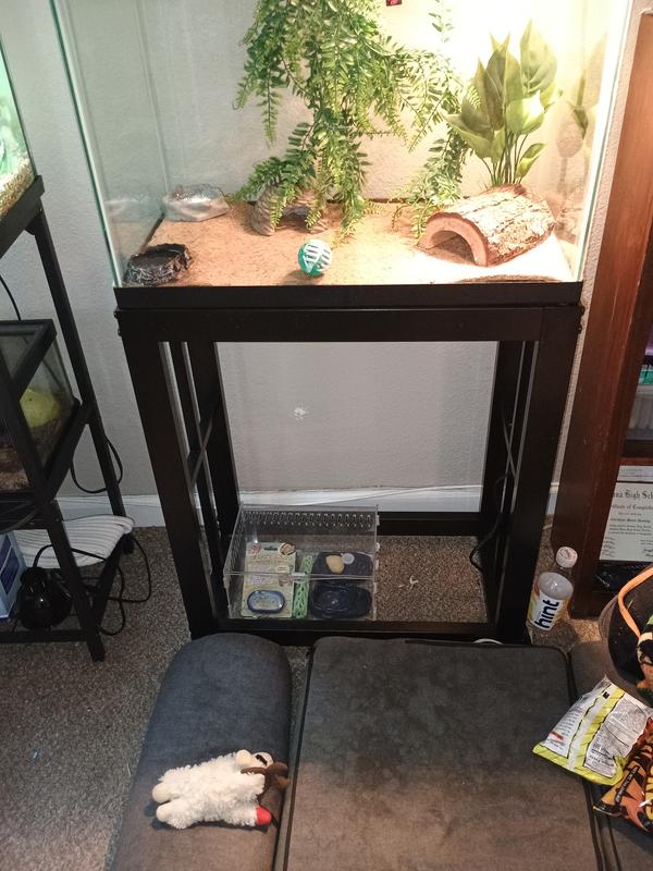 Leopard geckos 20 set up