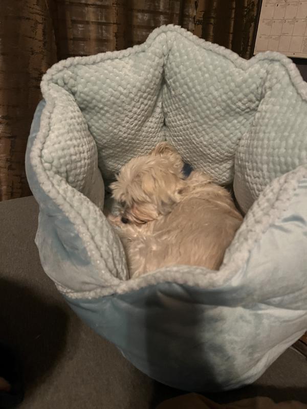 Comfy Girl!