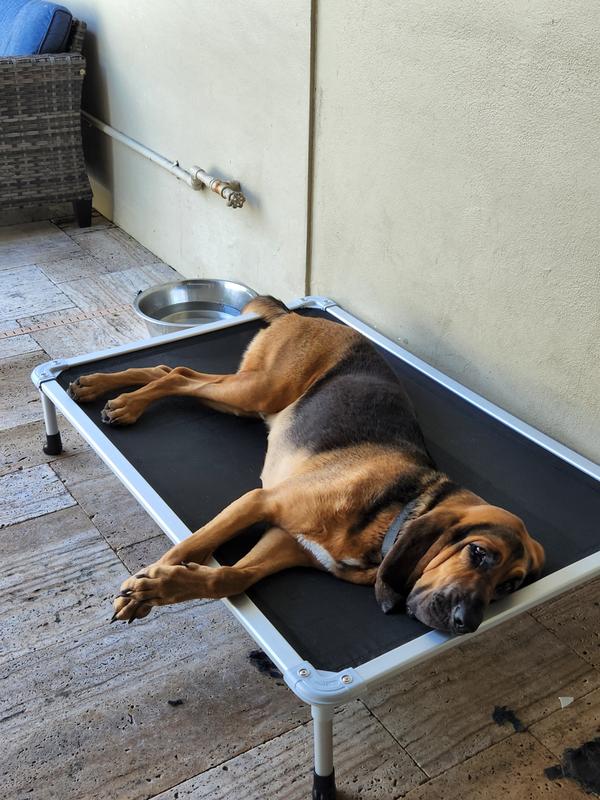 New Indestructible Dog Bed