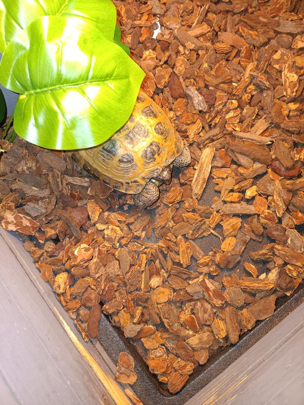 Aaaahhh, this is nice