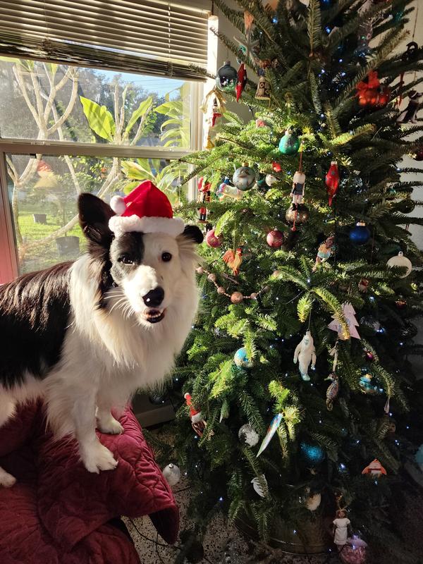 Adjustable hat = festive fun for all!