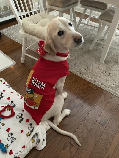 Our sweet Macy modeling her new tee!!