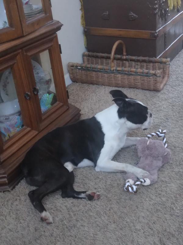 Don't take my toy