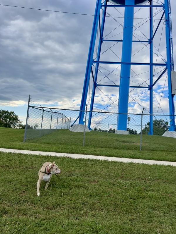 This is 4th day of supplement!