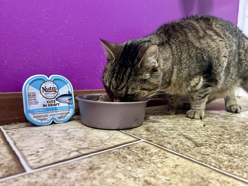 Frankie gobbled it down!