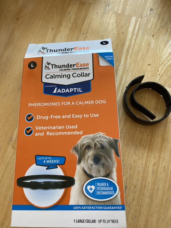 Thunder Ease
