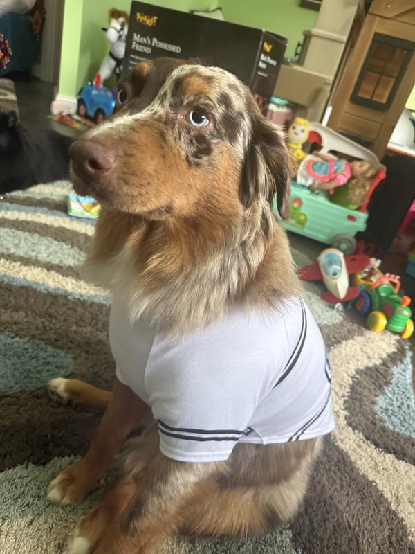 She is very unsure of wearing the shirt — ha