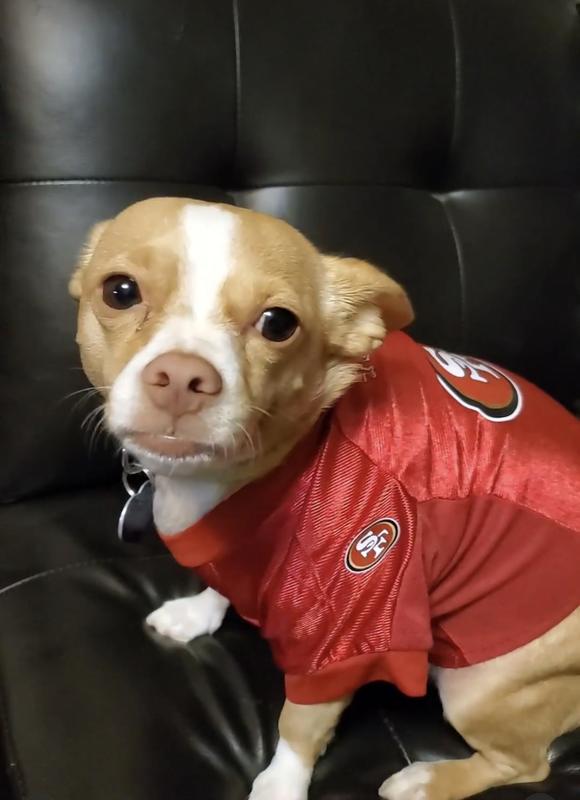 San Francisco 49ers Pet Stretch Jersey - Large