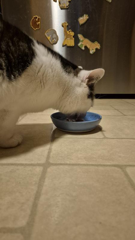 My oldest eating the chicken