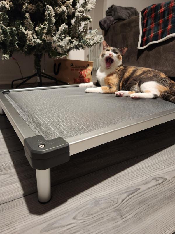 Out of Stock - FXW TitanNest Padded Chew-Proof Elevated Dog Bed