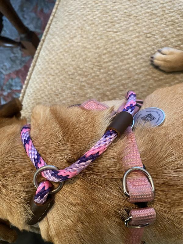 It also matches her harness.