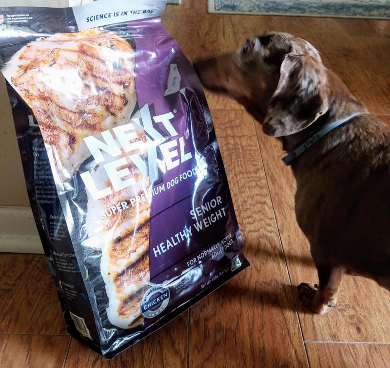 12 year old Rumour checking out the new chow