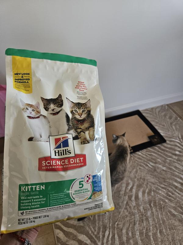 HILL'S SCIENCE DIET Kitten Dry Ocean Fish & Brown Rice Recipe Dry Cat
