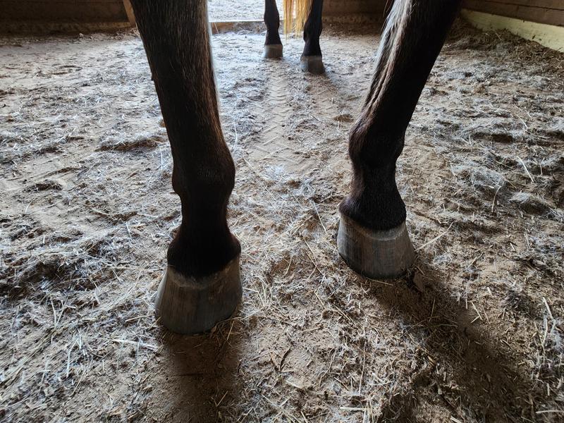 "After three months"