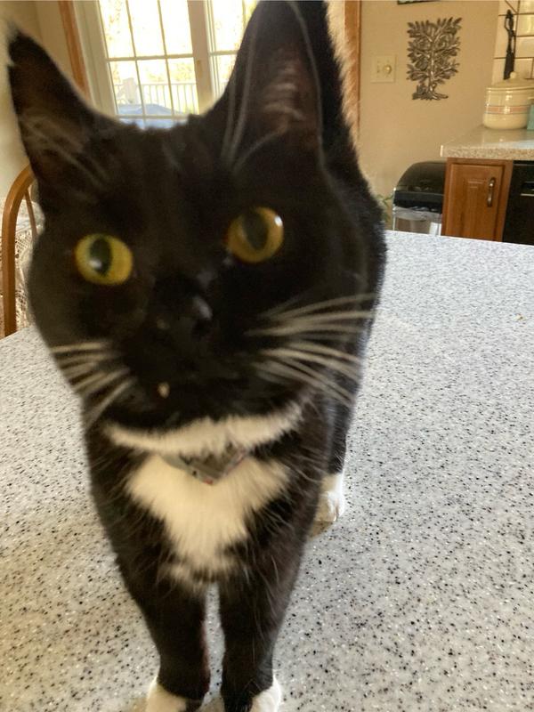 I'm here...what's up?