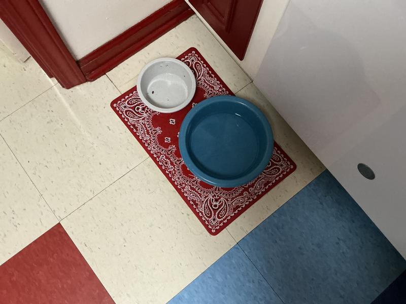 An empty bowl every time