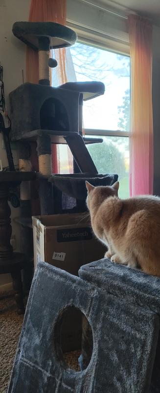 Sitting on the new one, looking at the old