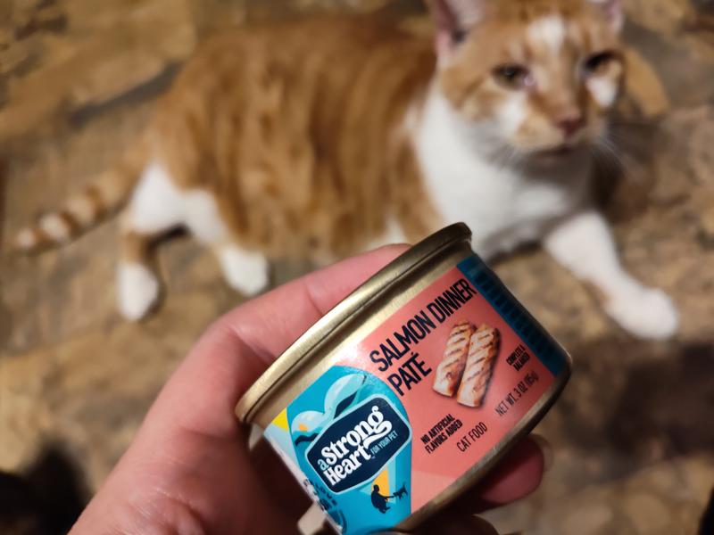 get to it already Meowmy