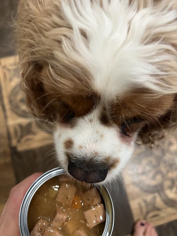 Sniff test, APPROVED!