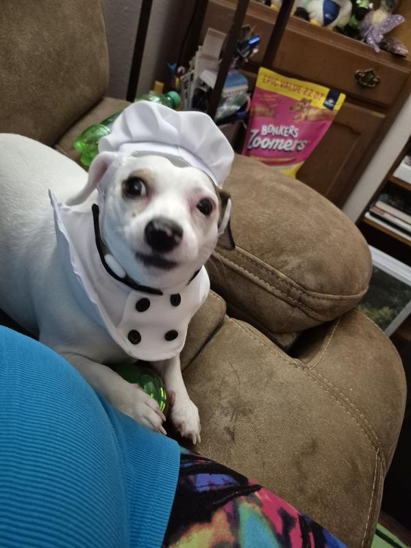 Pet Krewe Chef Uniform Dog Costume
