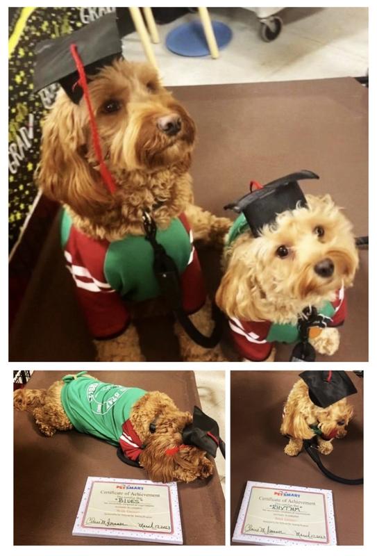 Rhythm (right) & Blues (left) at graduation.