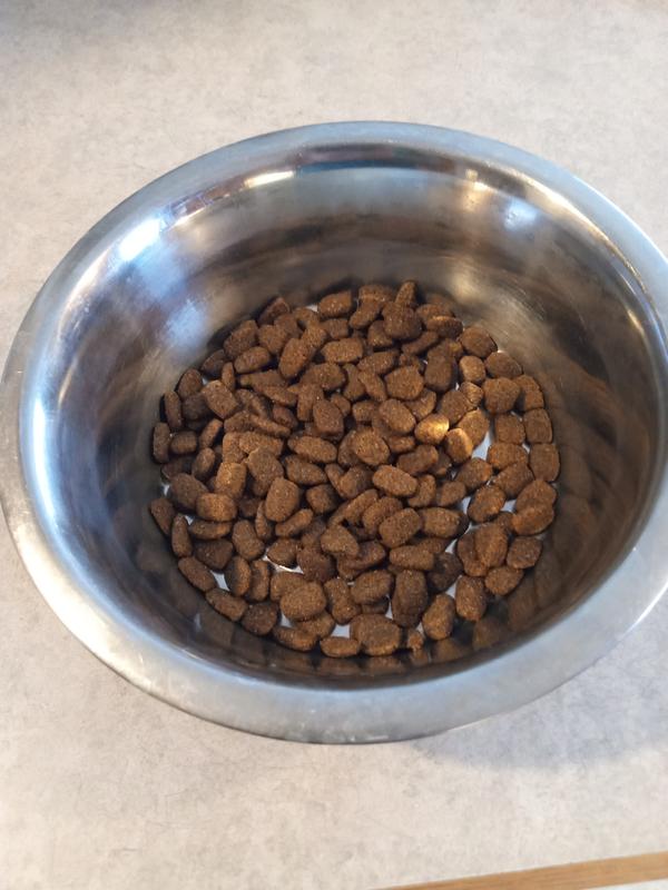 True acres outlet dog food reviews