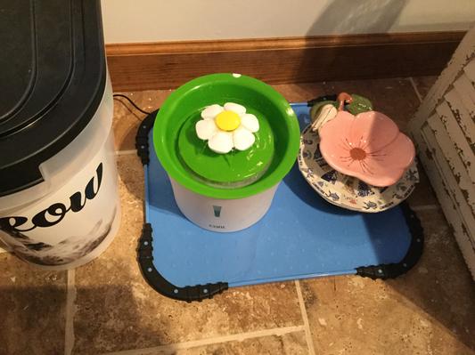 My cats feeding station. Oh no empty dish.