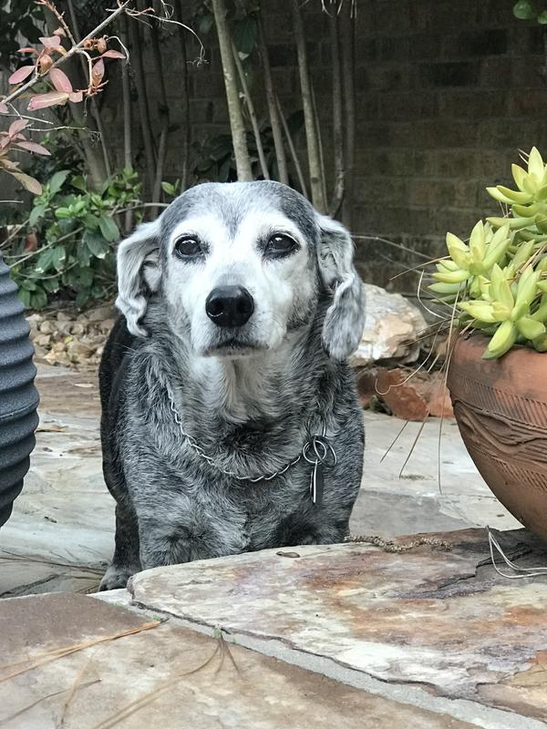 Lady Bug Johnson at 24 years old