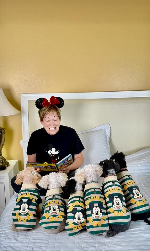 Disney Mickey Mouse Rugby Dog & Cat Polo