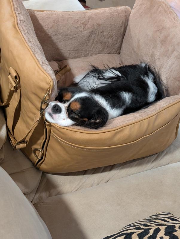 Lily loves her New car seat bed